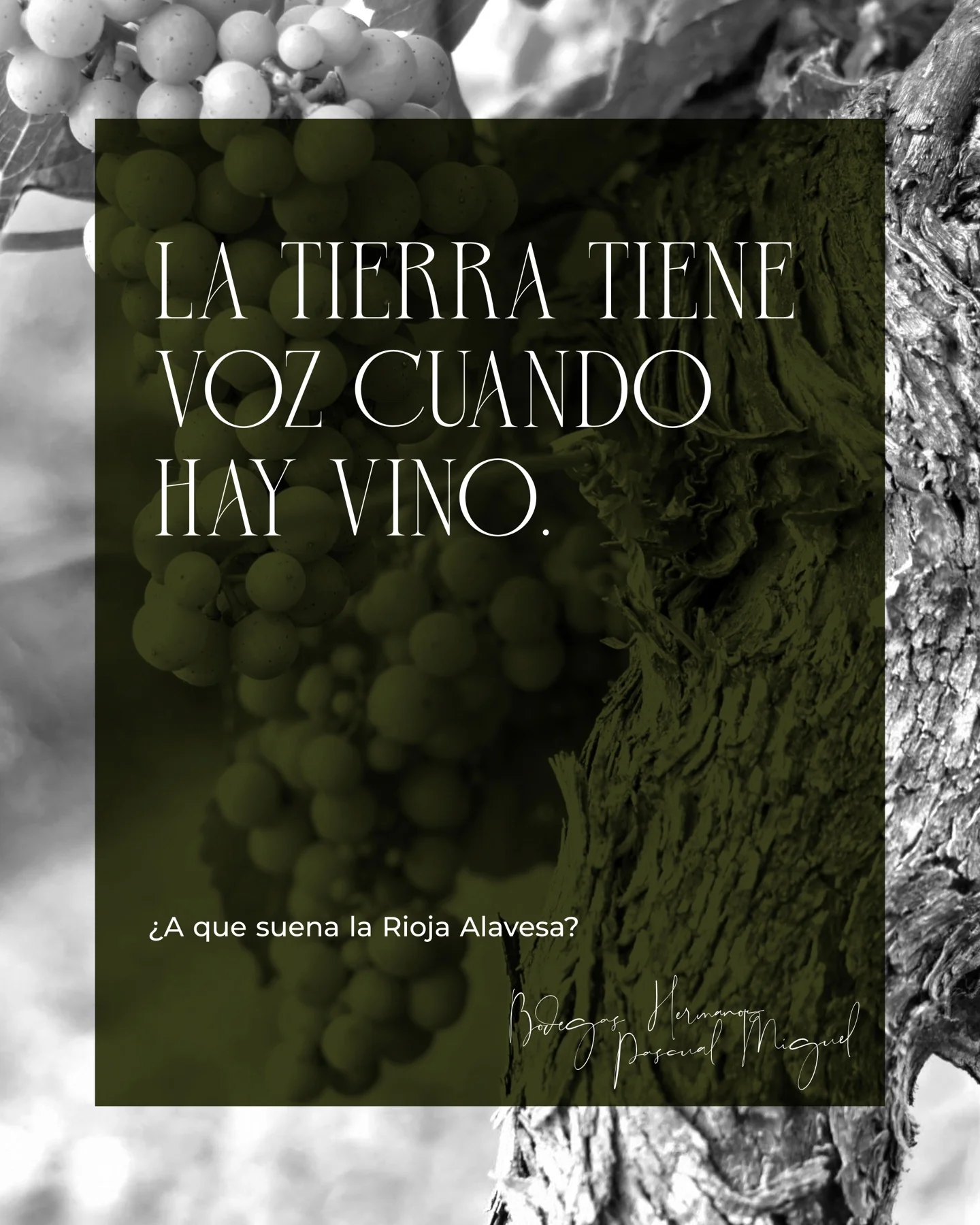 Bodegas HPM Social Media